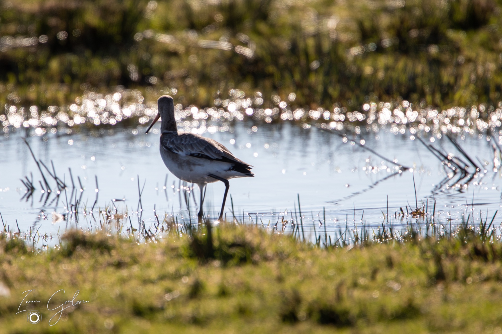 1DX42964 28 februari 2022 1247 27